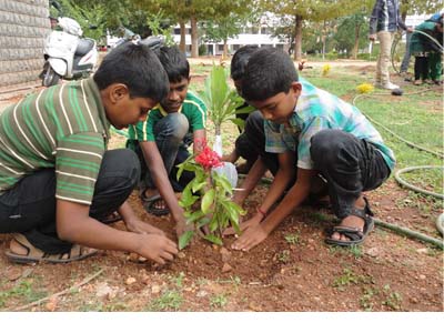 gallery/Environmental_Day