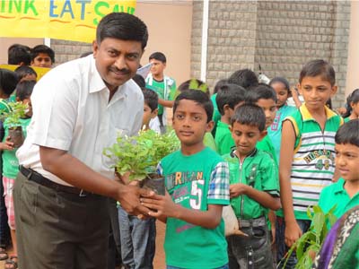 gallery/Environmental_Day
